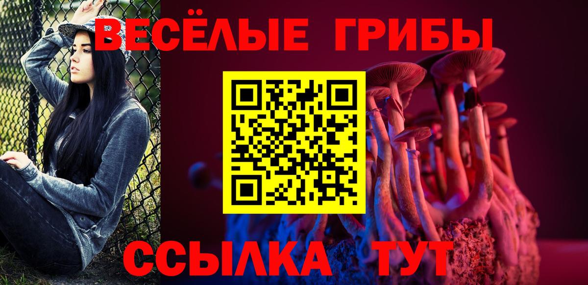 Псилоцибиновые грибы Cubensis  Вход с VPN  Галлюциногенные грибы мицелий  закладки  Артём 